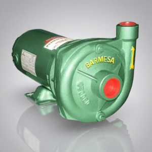 Bomba Centrífuga Casera Serie NBT