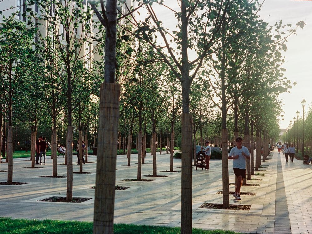 Parques urbanos