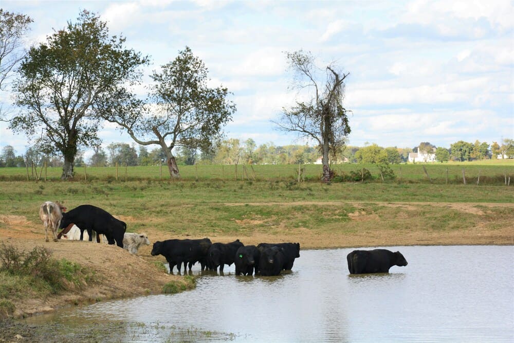 Agua confiable para una producción más eficiente