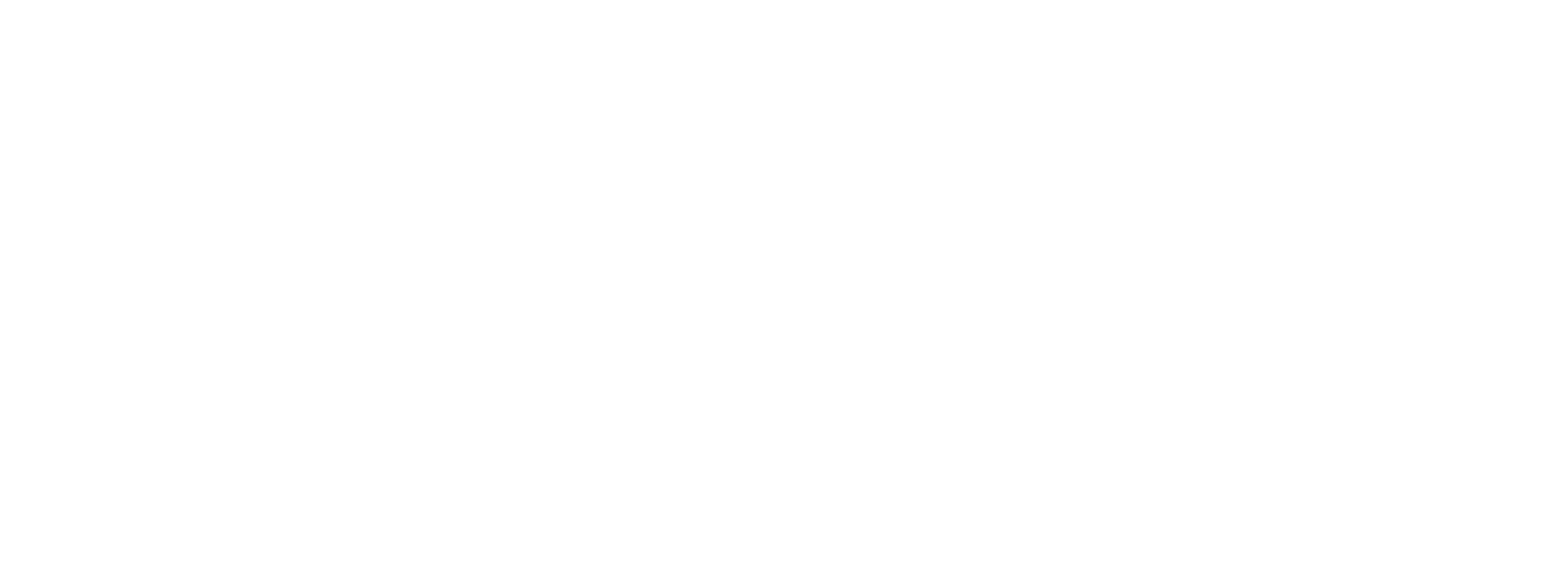 WDM LOGO-02